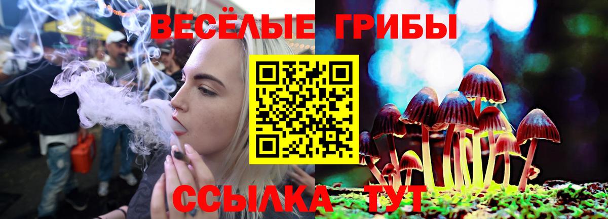 Новокуйбышевск  Галлюциногенные грибы мухоморы  Псилоцибиновые грибы Cubensis  Вход с VPN 
